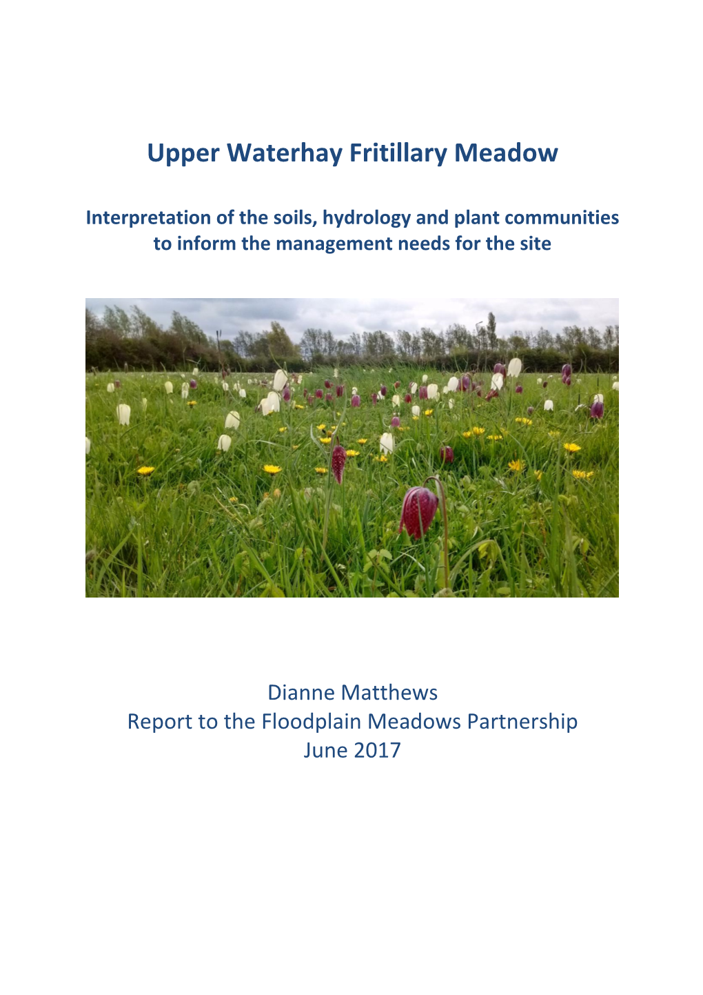 Upper Waterhay Fritillary Meadow