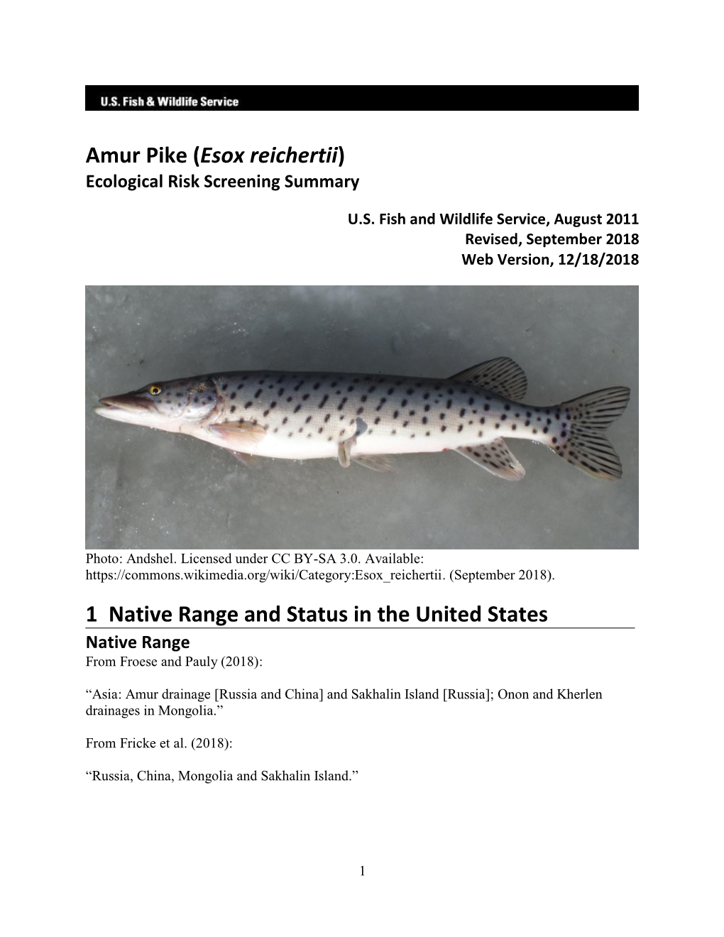 Amur Pike (Esox Reichertii) Ecological Risk Screening Summary