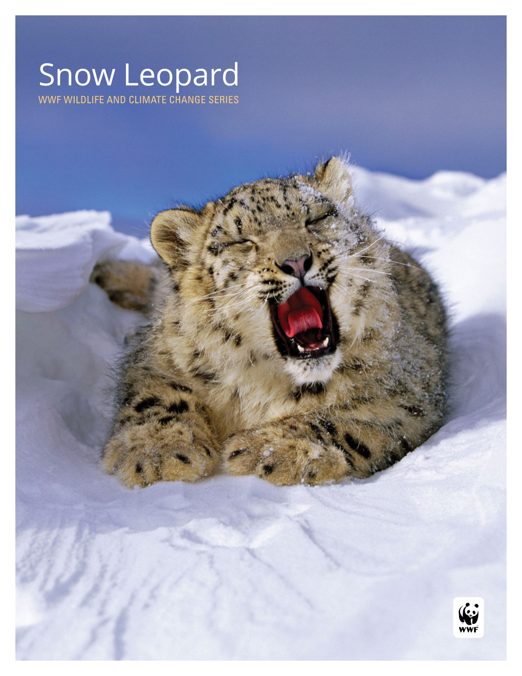 Snow Leopard