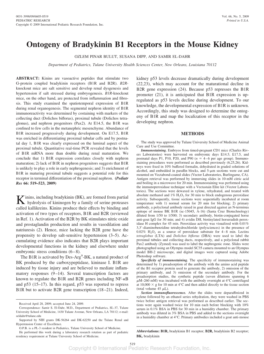 Ontogeny of Bradykinin B1 Receptors in the Mouse Kidney