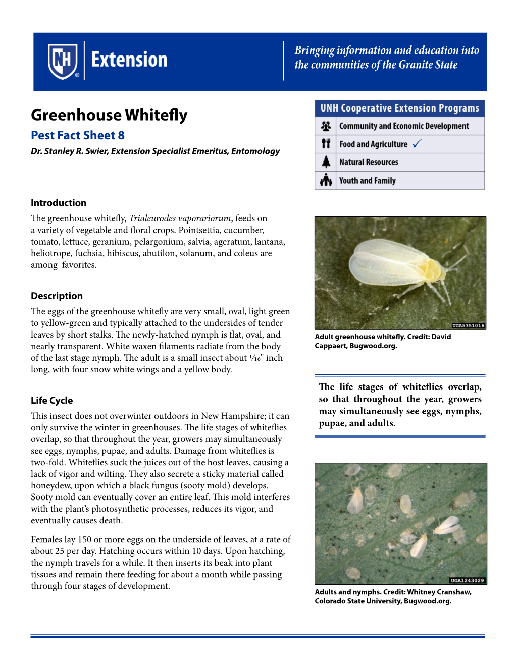 Greenhouse Whitefly Pest Fact Sheet 8 Dr