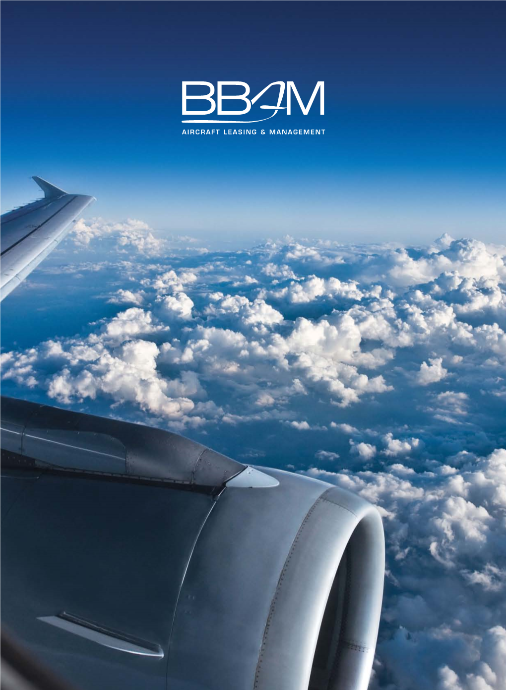 About BBAM (PDF 1.6MB)