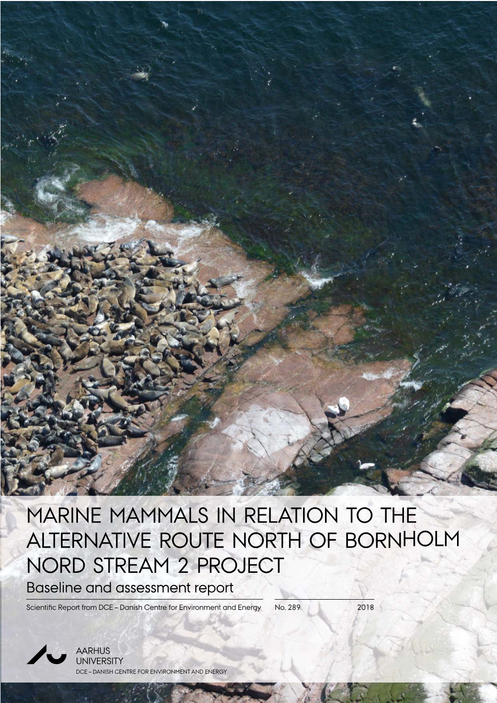 Marine Mammals in Relation to the Alternative Route North of Bornholm