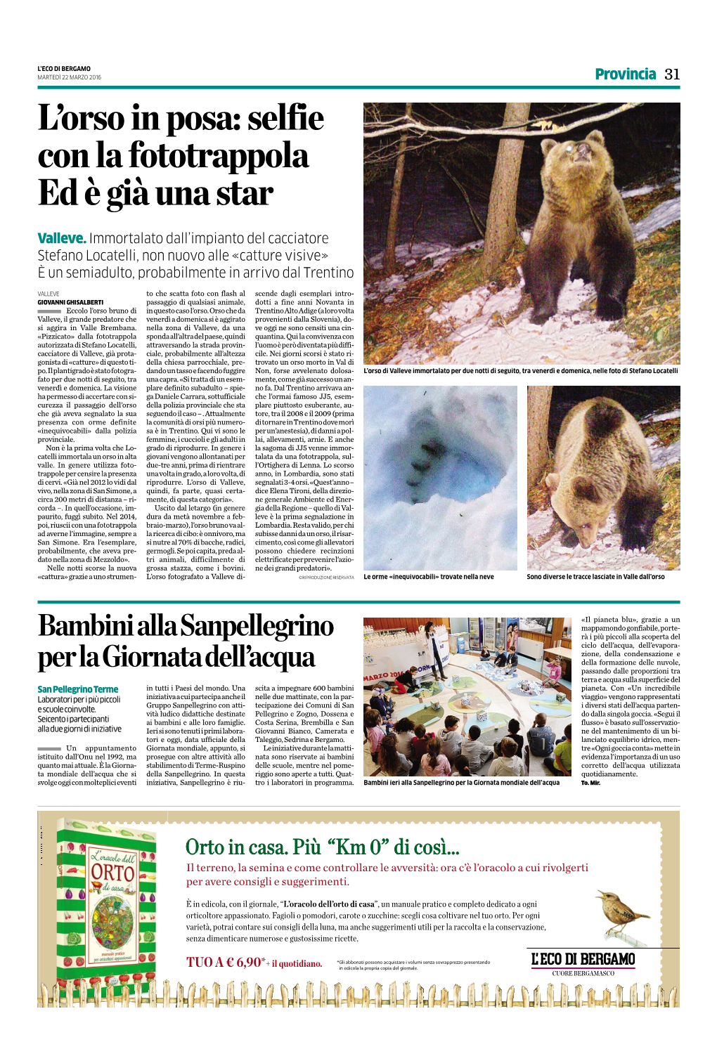 L'orso in Posa: Selfie Con La Fototrappola Ed È Già Una Star