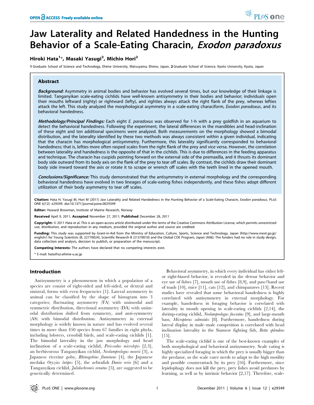 Jaw Laterality and Related Handedness in the Hunting Behavior of a Scale-Eating Characin, Exodon Paradoxus