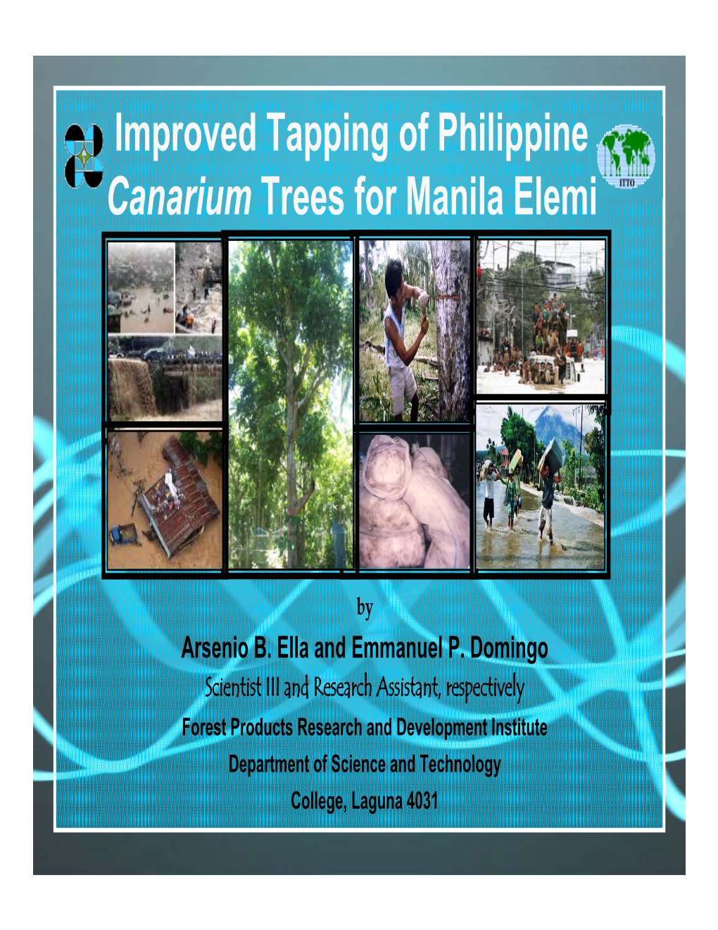 Improved Tapping of Philippine Canarium Trees for Manila Elemi