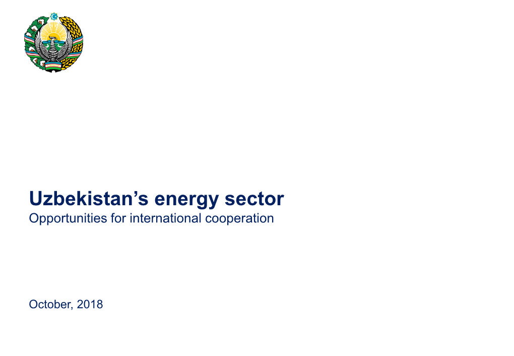 Uzbekistan's Energy Sector