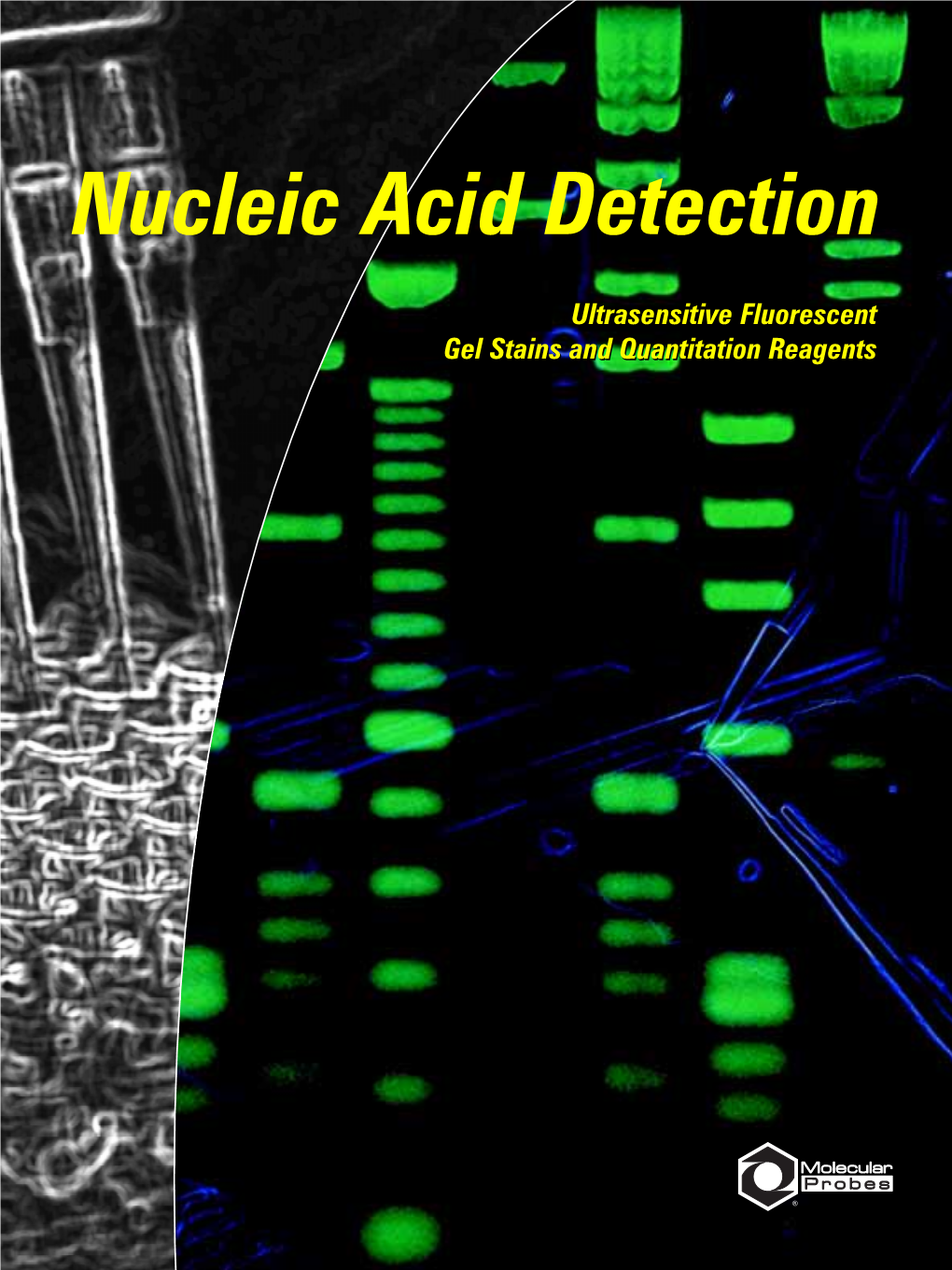 Nucleic Acid Detection