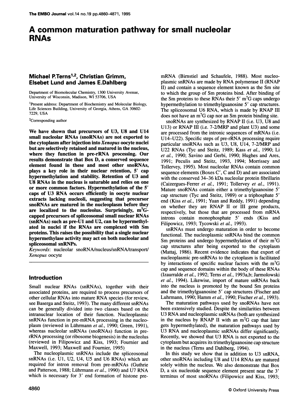 A Common Maturation Pathway for Small Nucleolar Rnas