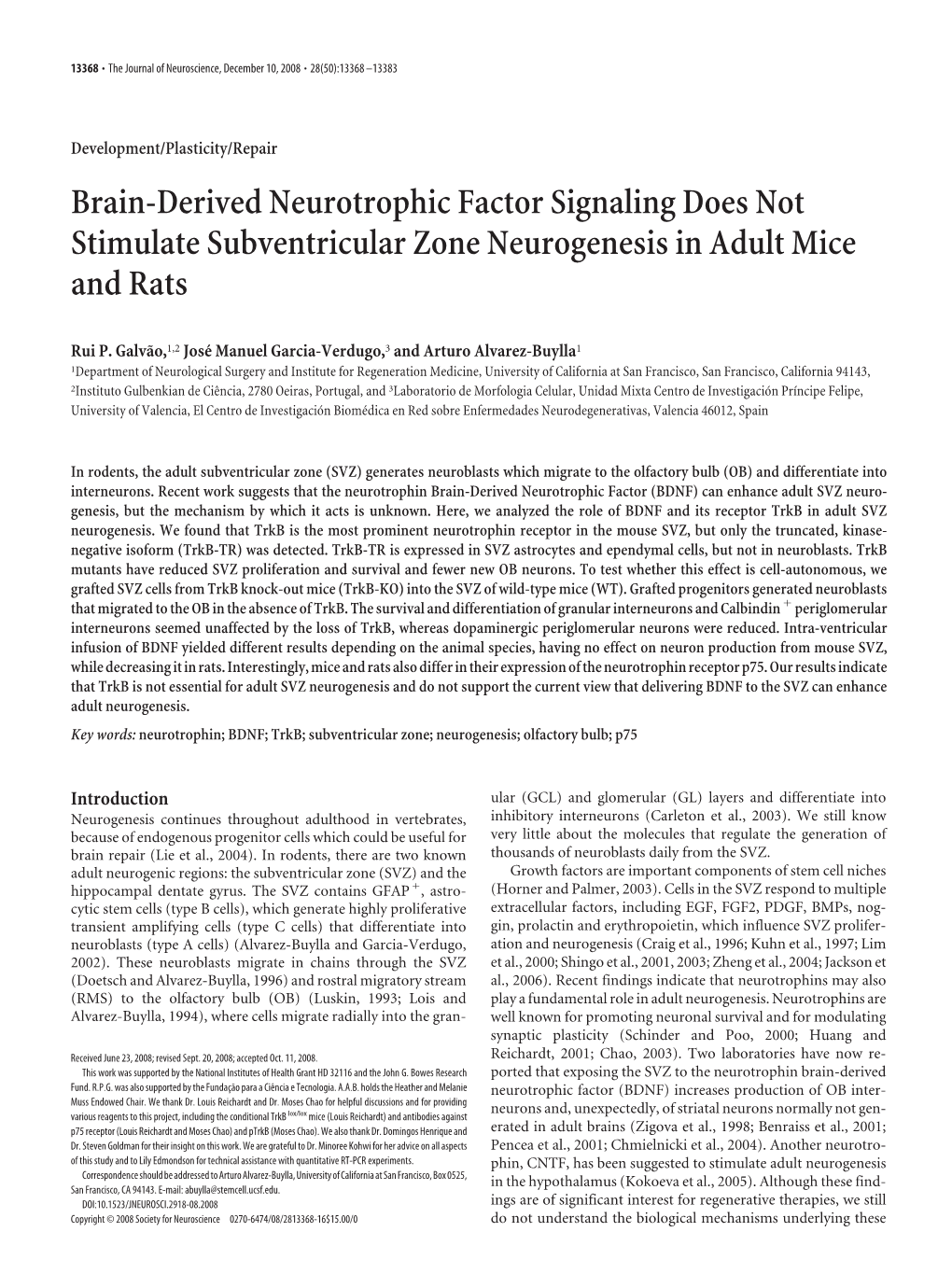 Brain-Derived Neurotrophic Factor Signaling Does Not Stimulate Subventricular Zone Neurogenesis in Adult Mice and Rats