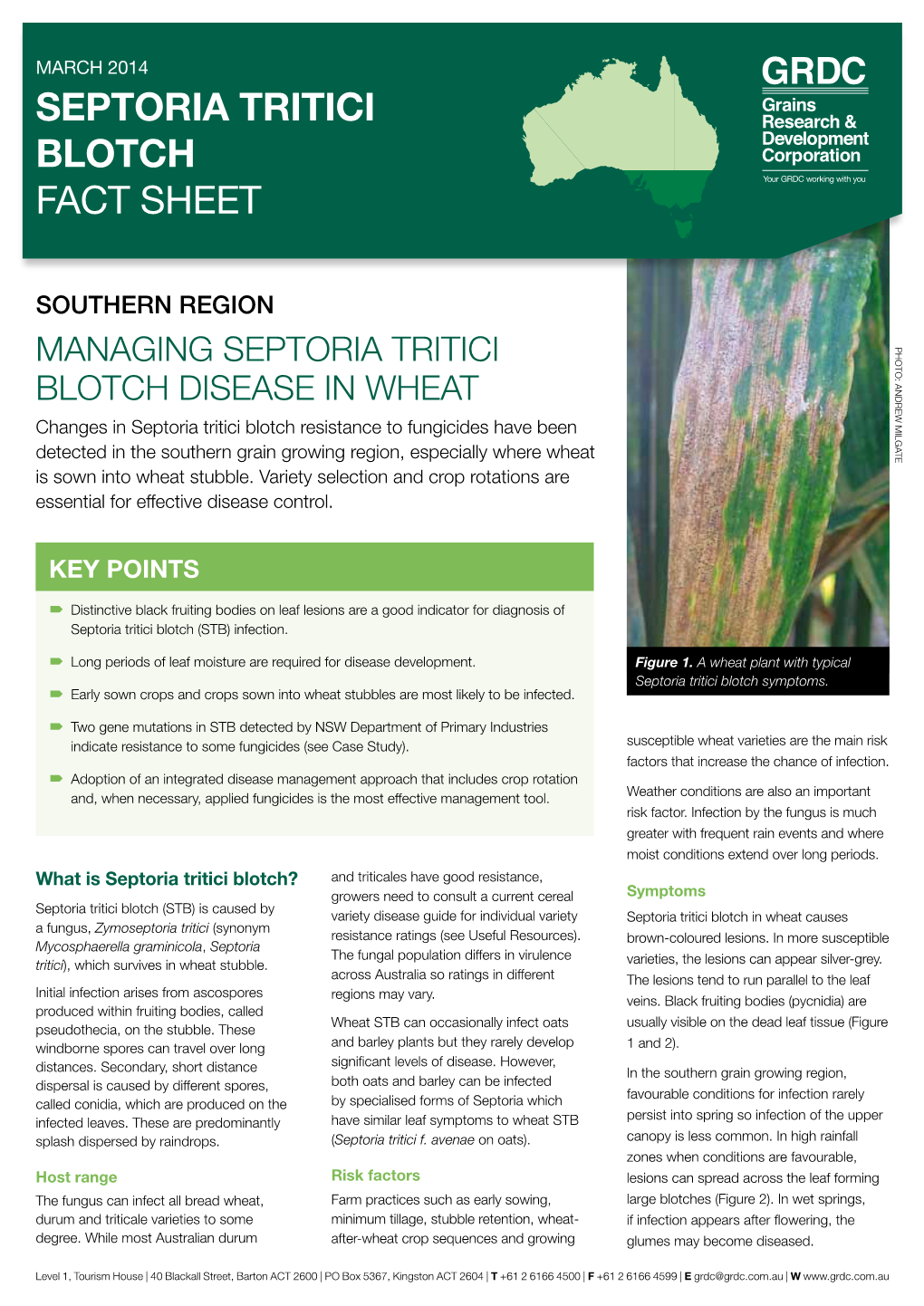 SEPTORIA TRITICI BLOTCH FACT SHEET Southern Region