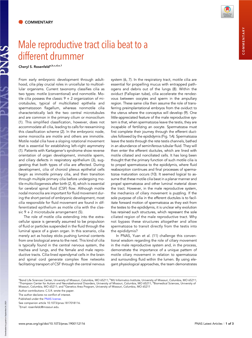 Male Reproductive Tract Cilia Beat to a Different Drummer