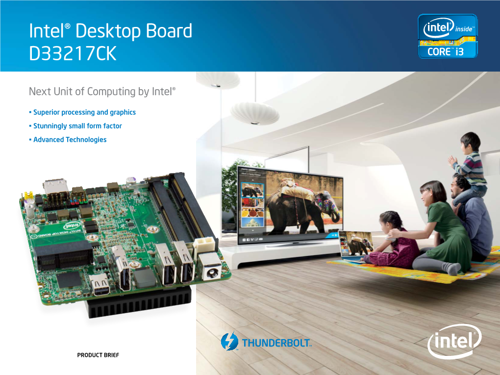 Intel D33217CK Product Brief