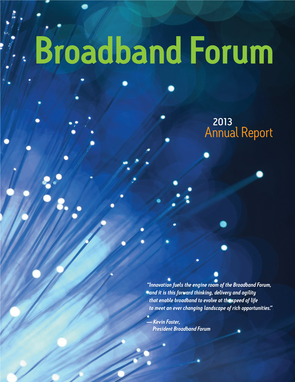 2013 Annual Report