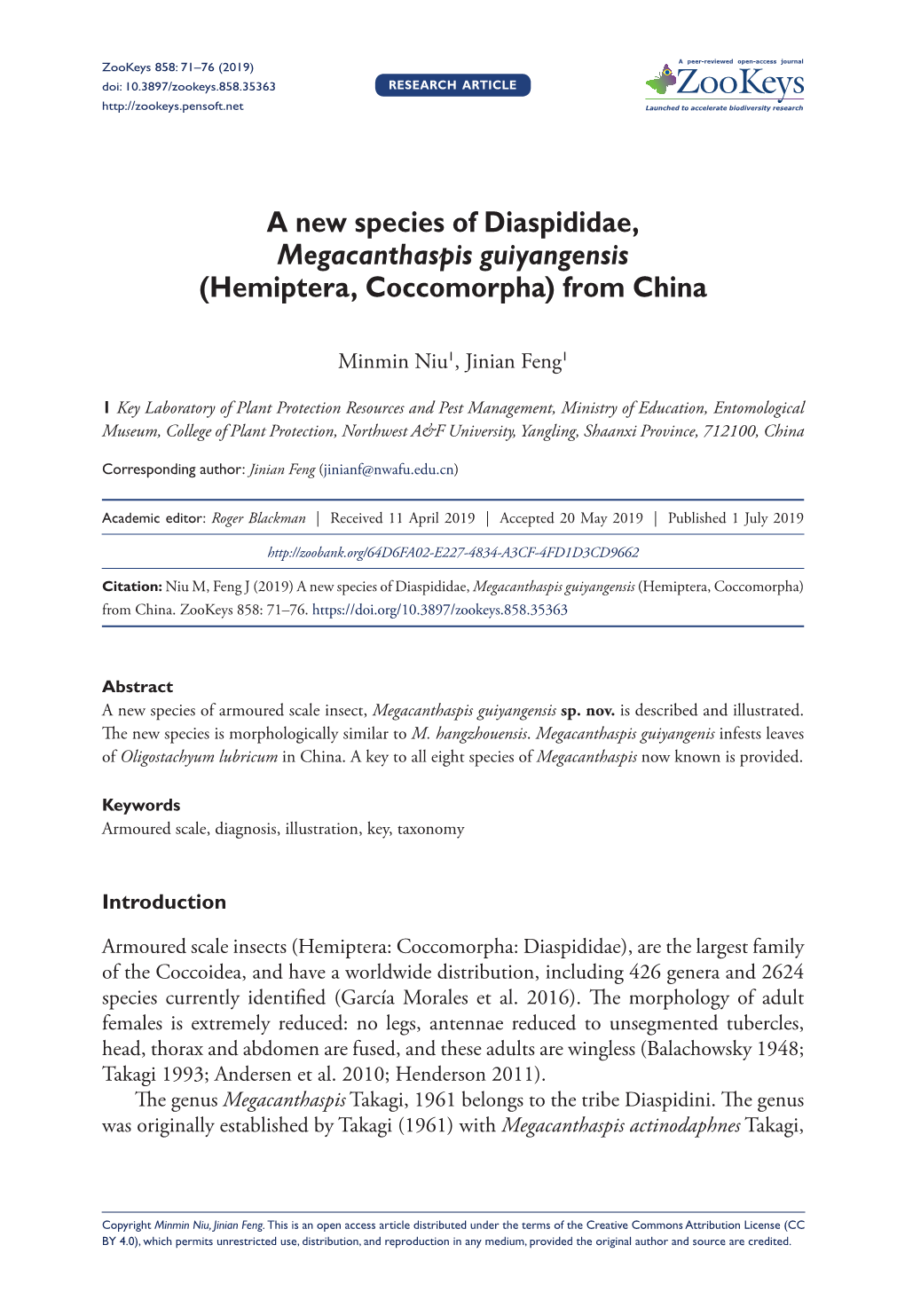 A New Species of Diaspididae, Megacanthaspis Guiyangensis (Hemiptera, Coccomorpha) from China