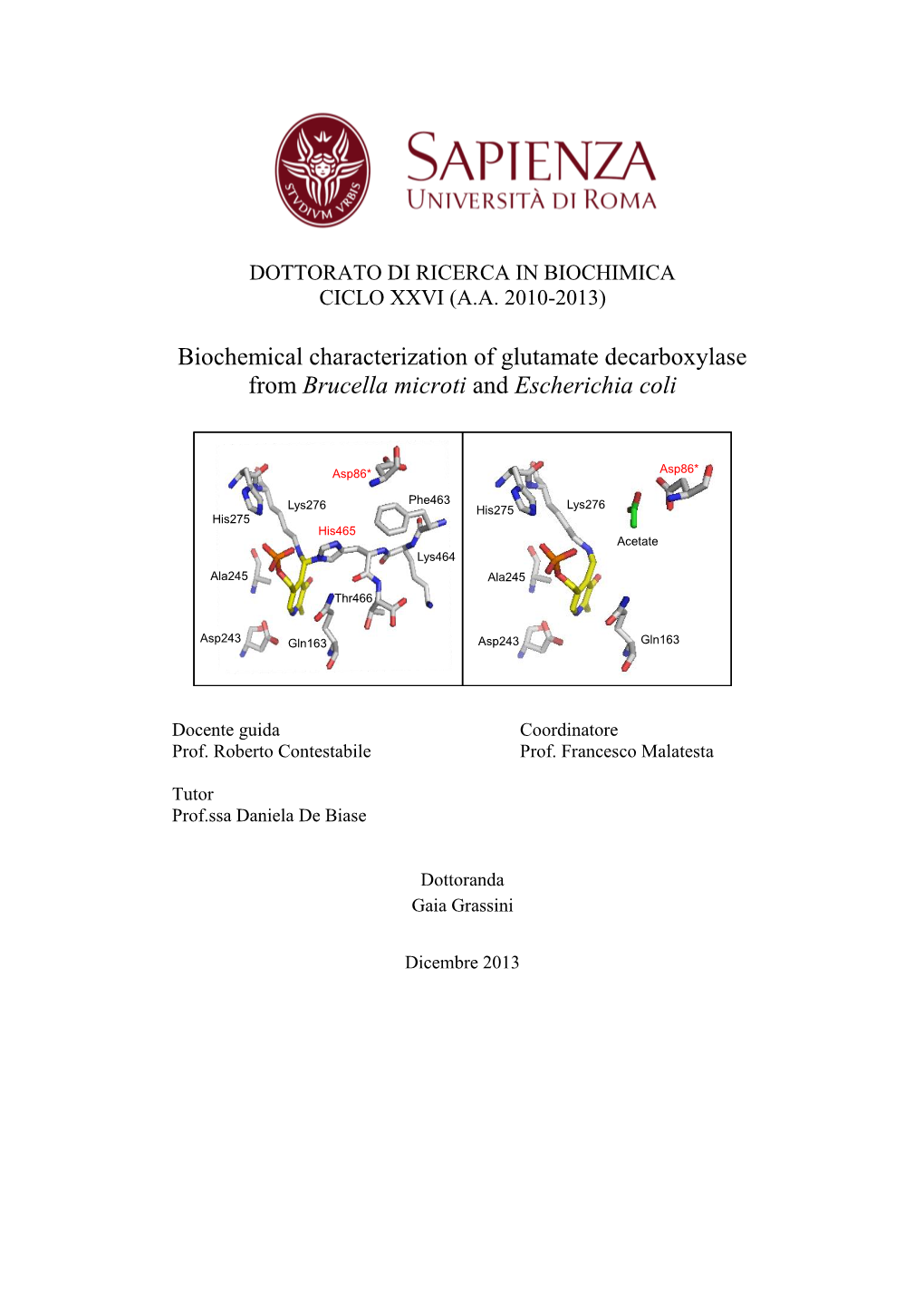 Biochemical Characterization of Glutamate Decarboxylase from Brucella Microti and Escherichia Coli