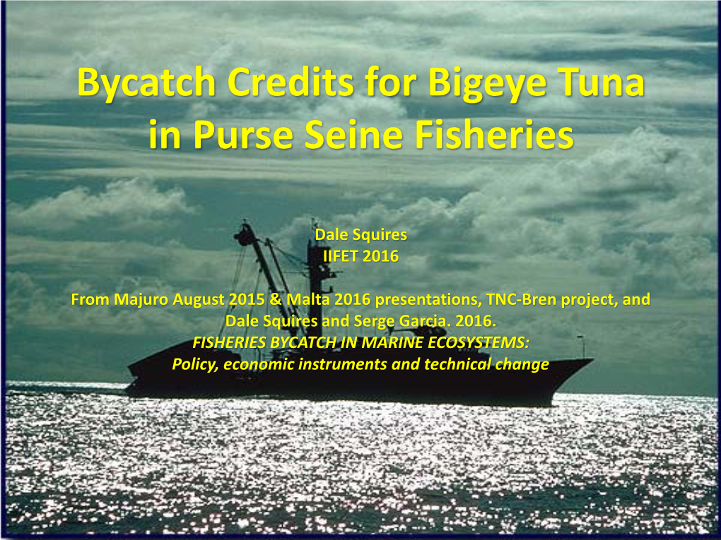 Considering Credit Systems and Risk Pools for Bigeye Tuna in the WCPO