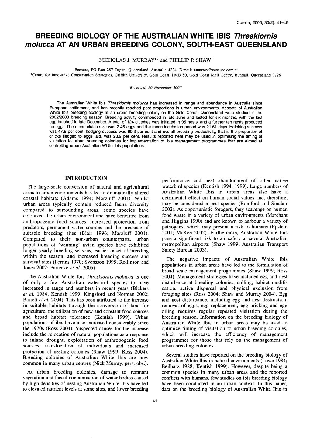 BREEDING BIOLOGY of the AUSTRALIAN WHITE IBIS Thteskiotnis Molucca at an URBAN BREEDING COLONY SOUTH-EAST QUEENSLAND