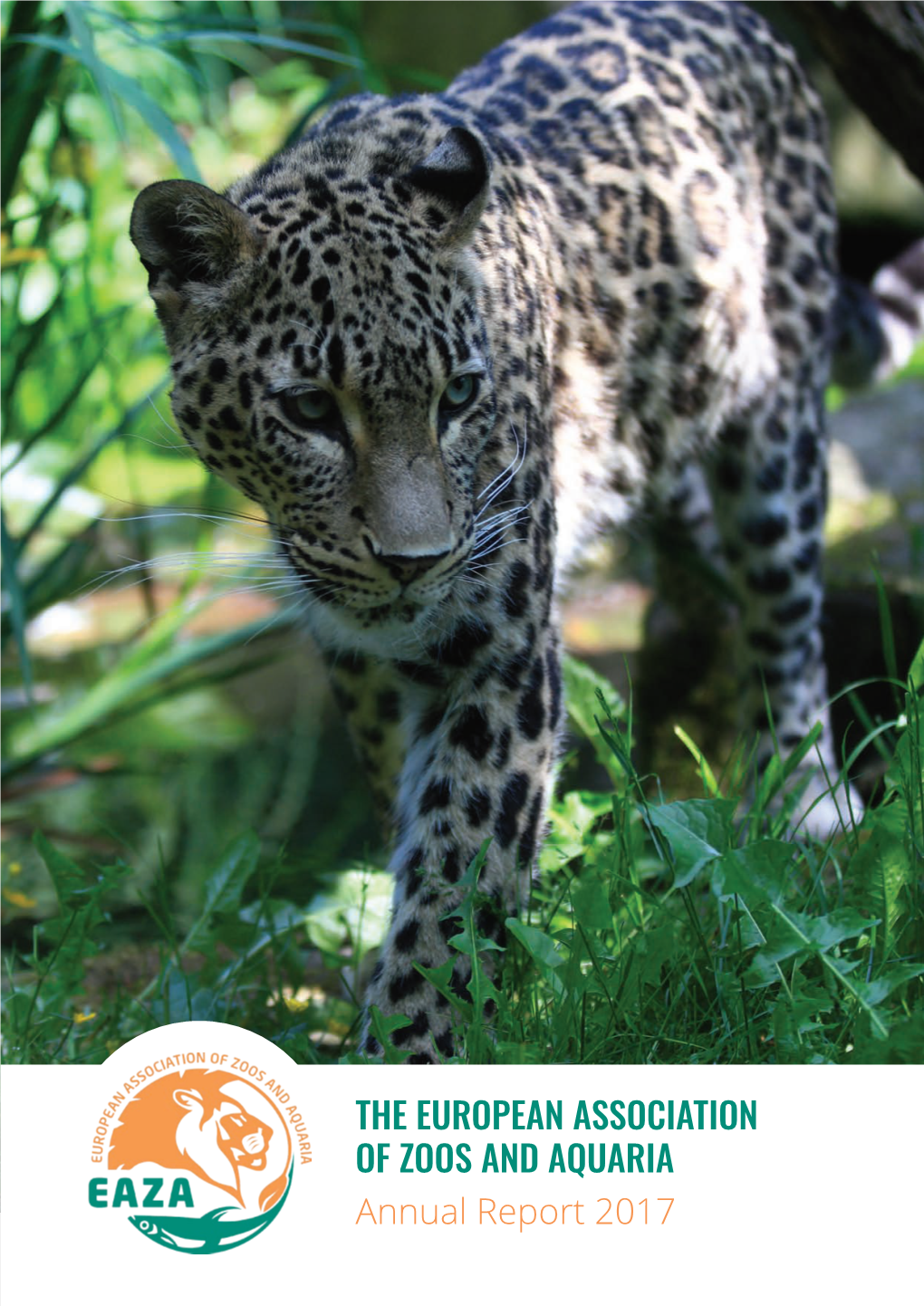 EAZA Annual Report 2017