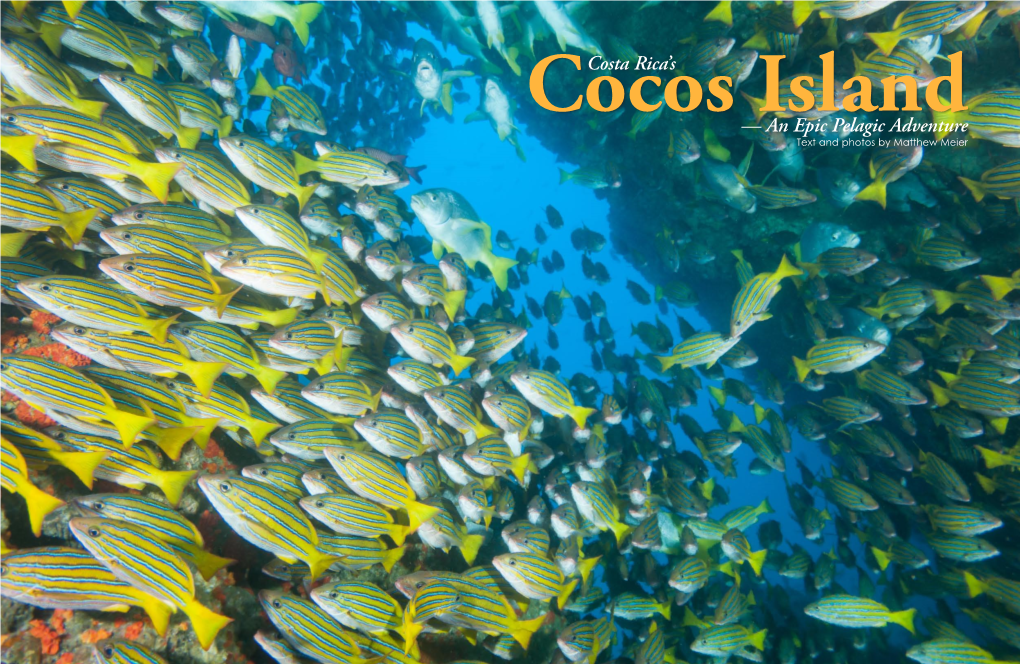 Cocos Island