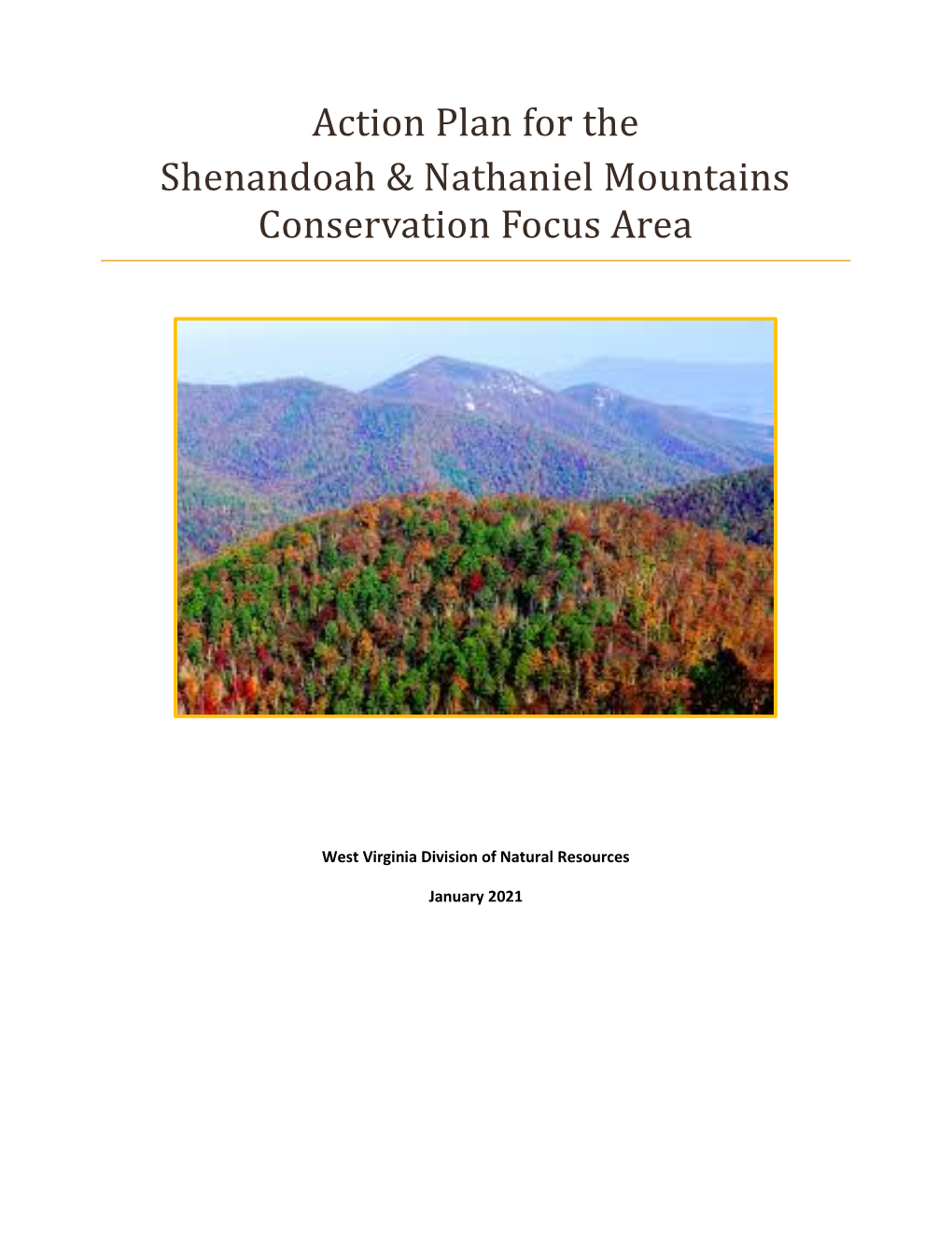 Shenandoah and Nathaniel Mountain CFA Action Plan