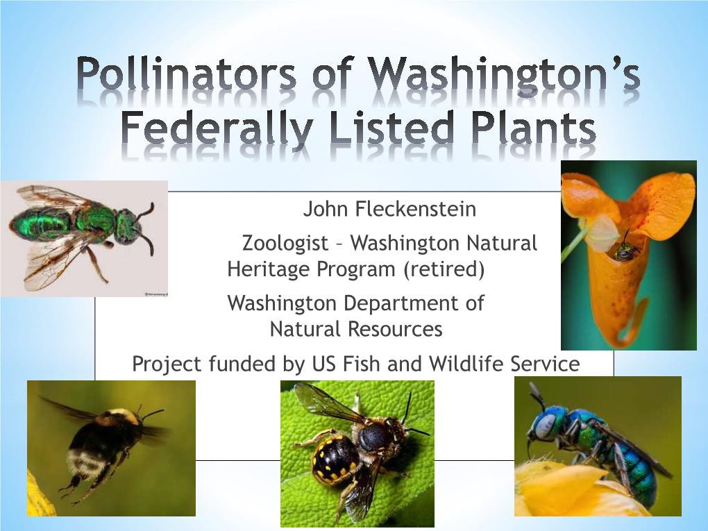 Abiotic Mechanisms of Pollination