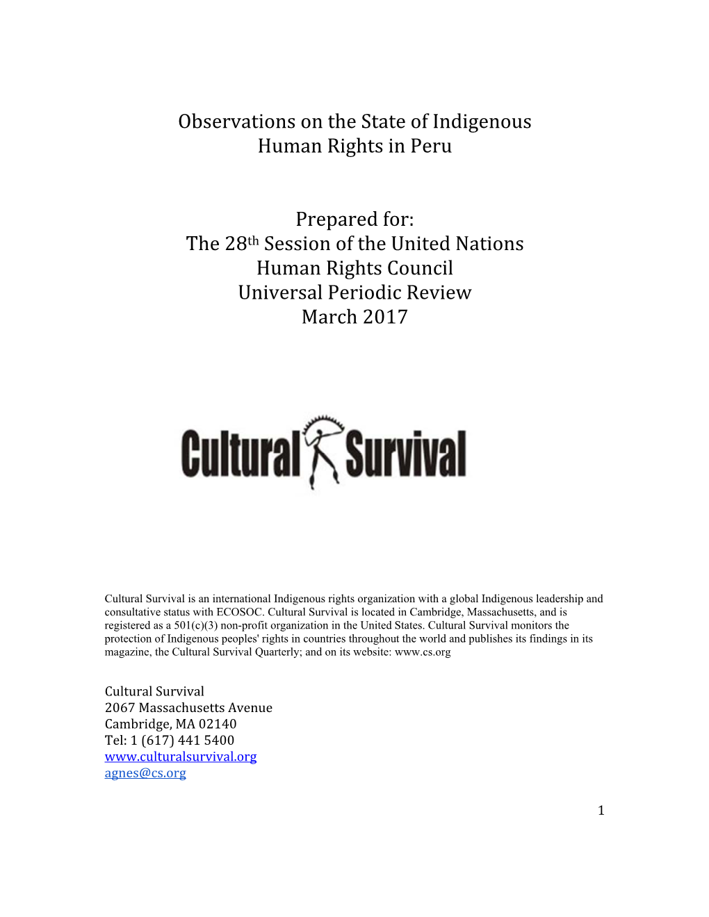 Observations on the State of Indigenous Human Rights in Peru