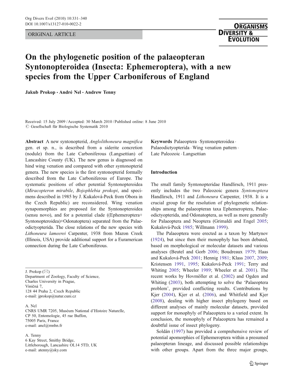 On the Phylogenetic Position of the Palaeopteran Syntonopteroidea (Insecta: Ephemeroptera), with a New Species from the Upper Carboniferous of England