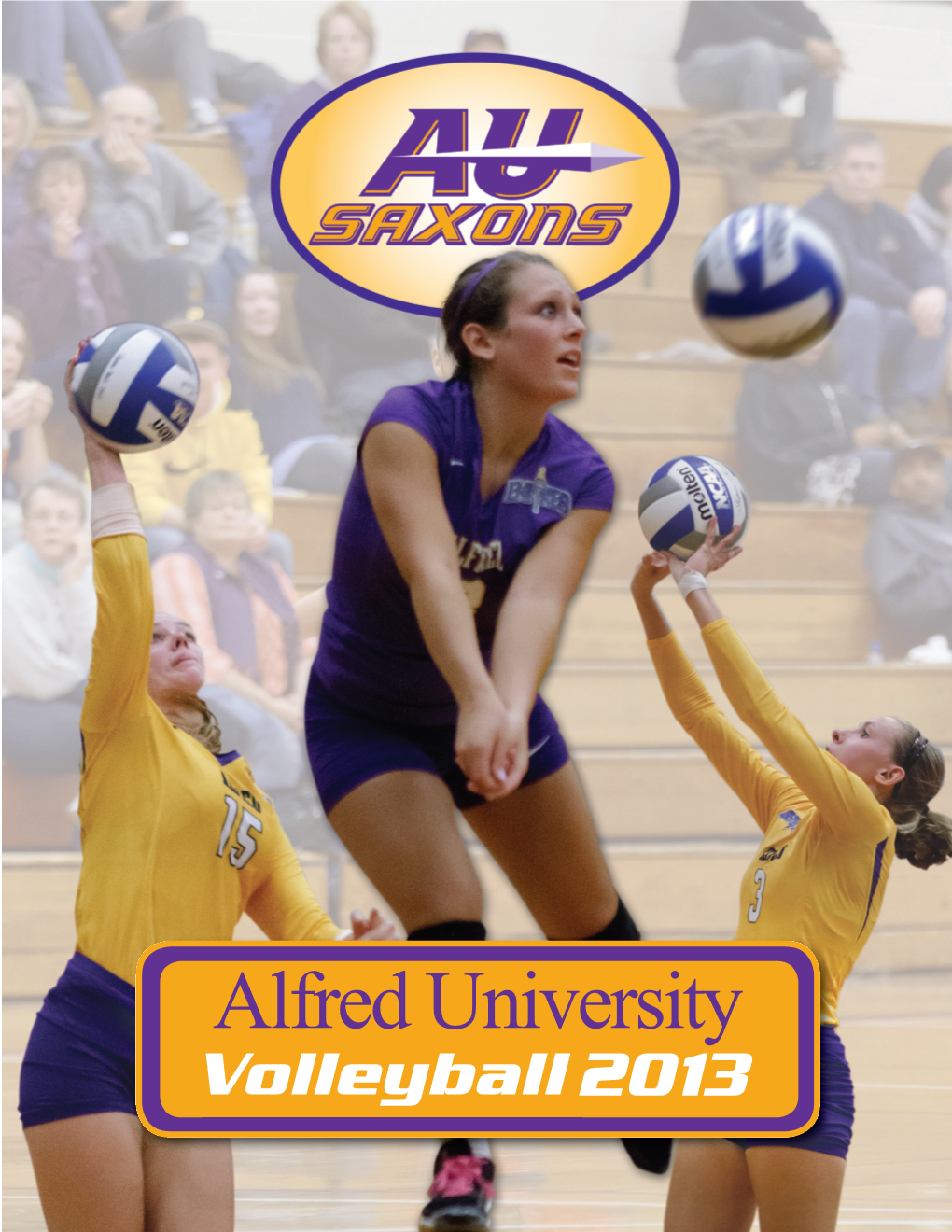 Alfred University Athletics