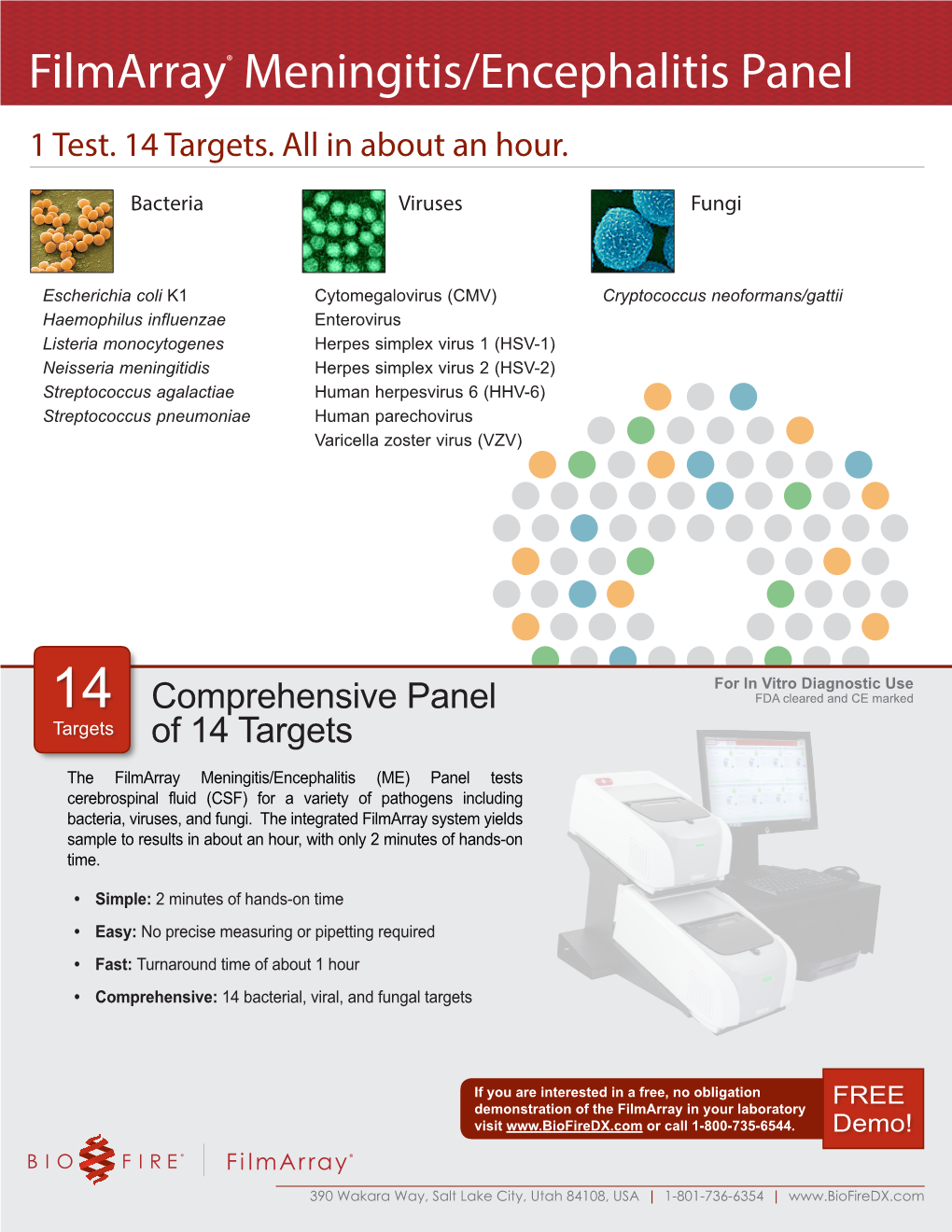 Filmarray® Meningitis/Encephalitis Panel 1 Test