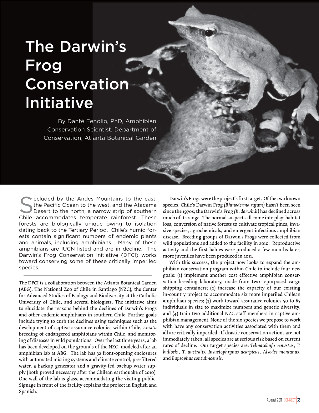 The Darwin's Frog Conservation Initiative