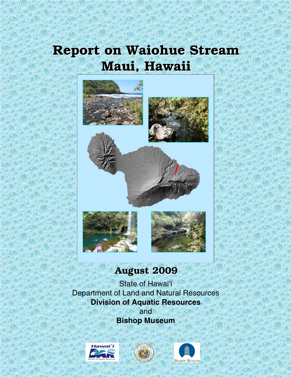 Report on Waiohue Stream Maui, Hawaii