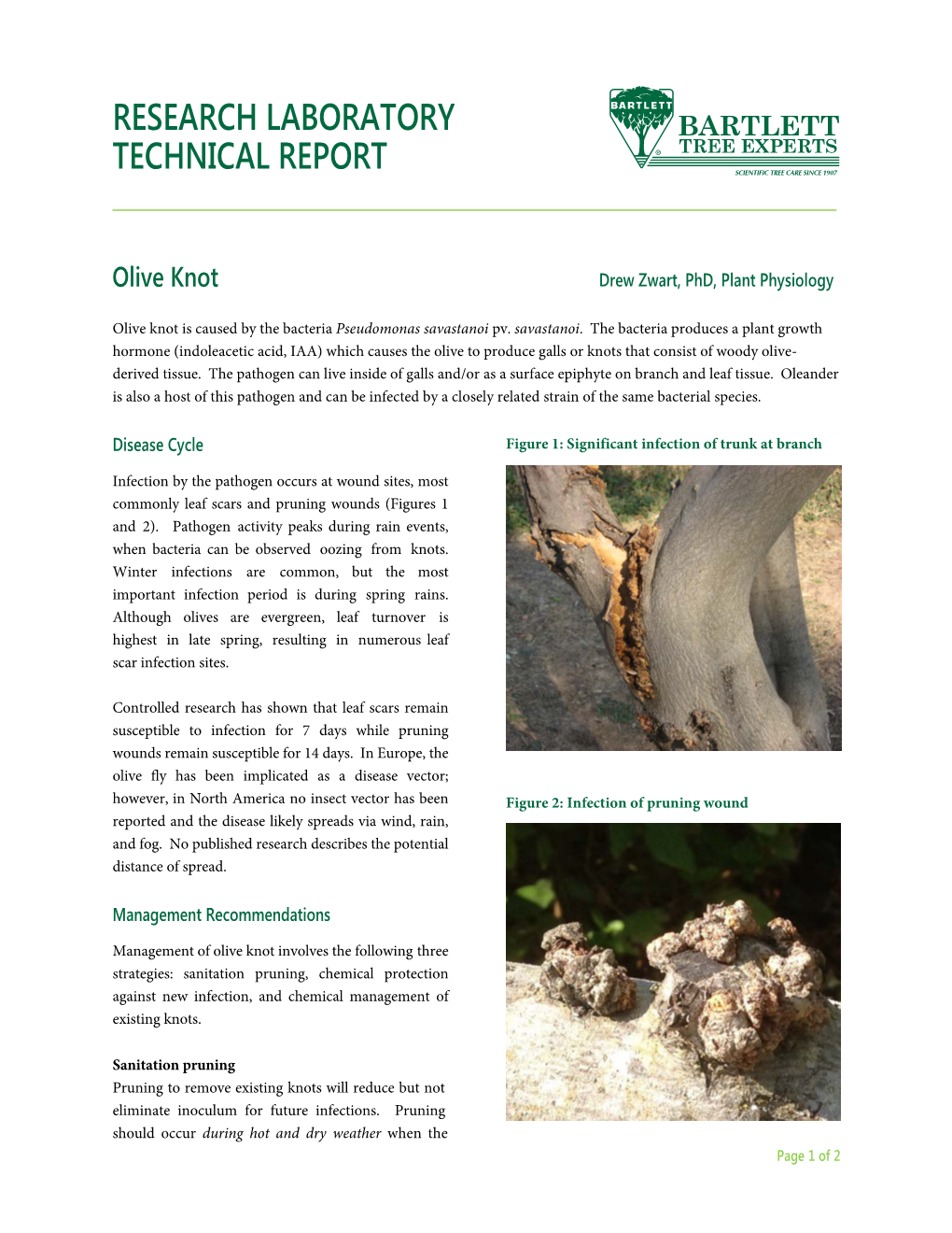 Olive Knot Drew Zwart, Phd, Plant Physiology