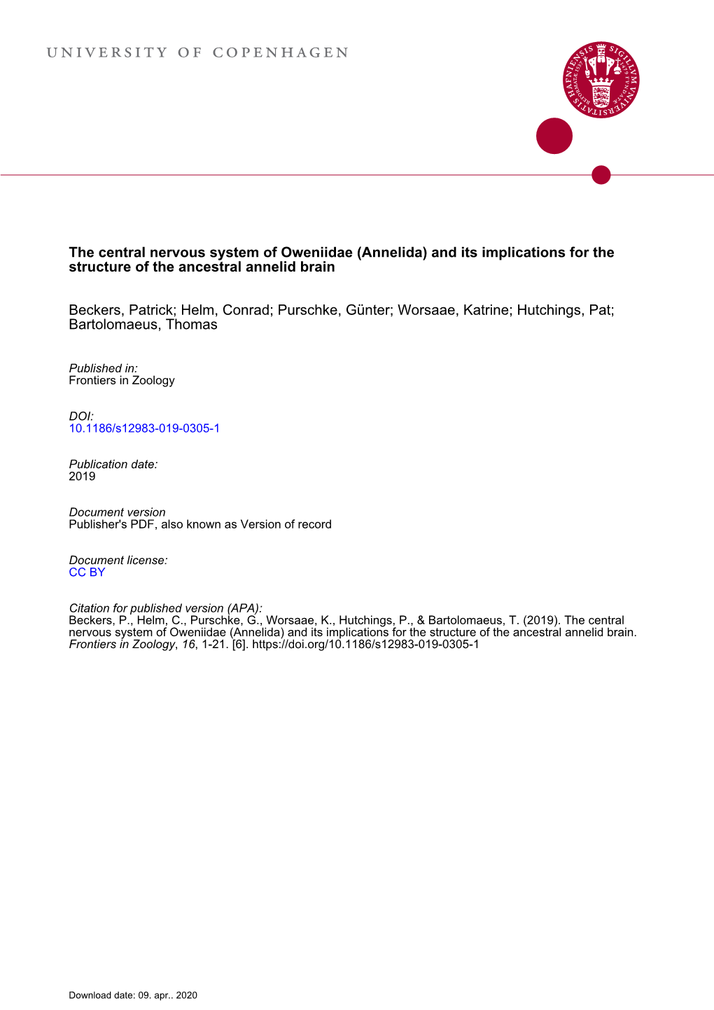 The Central Nervous System of Oweniidae (Annelida) and Its Implications for the Structure of the Ancestral Annelid Brain