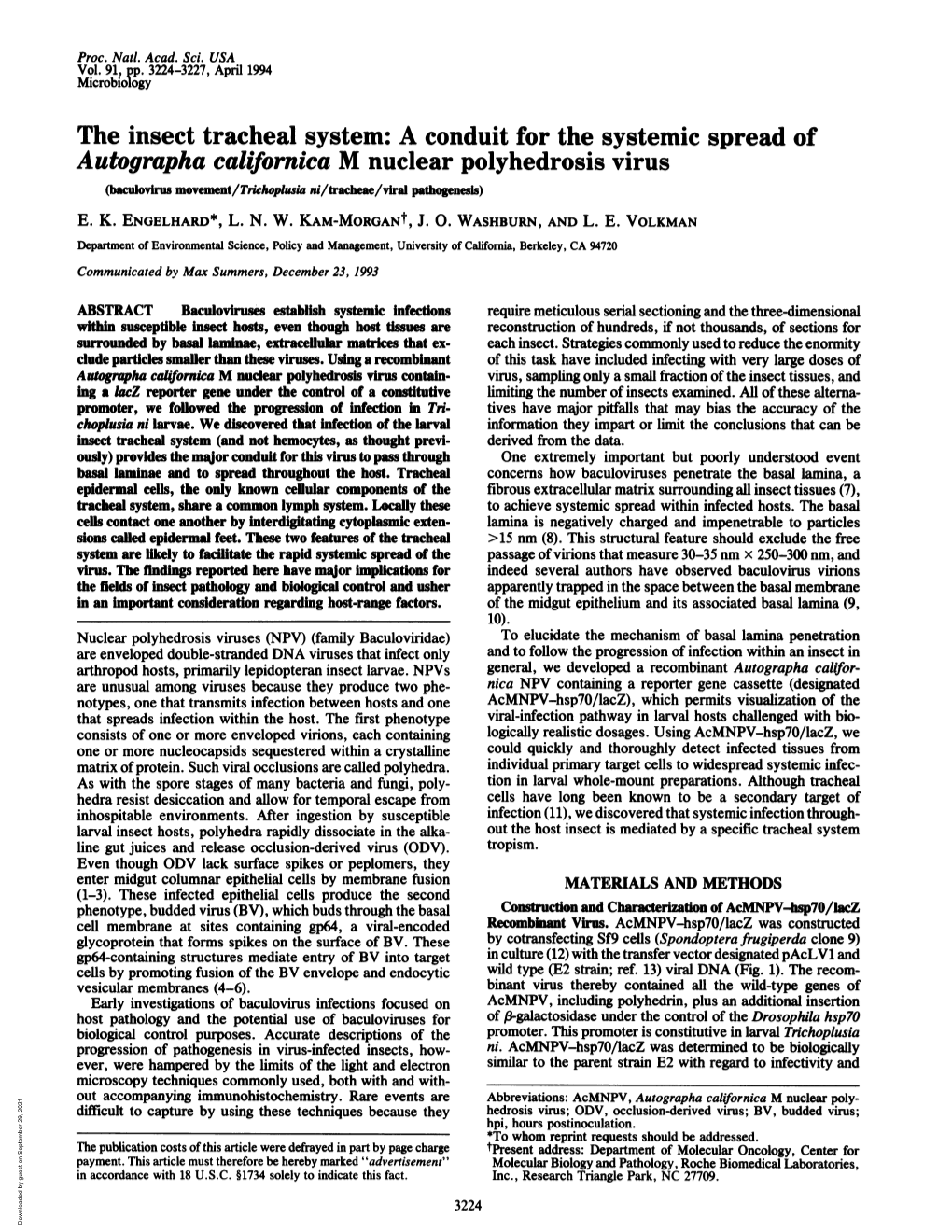 The Insect Tracheal System: a Conduit for the Systemic Spread of Autographa Californica M Nuclear Polyhedrosis Virus