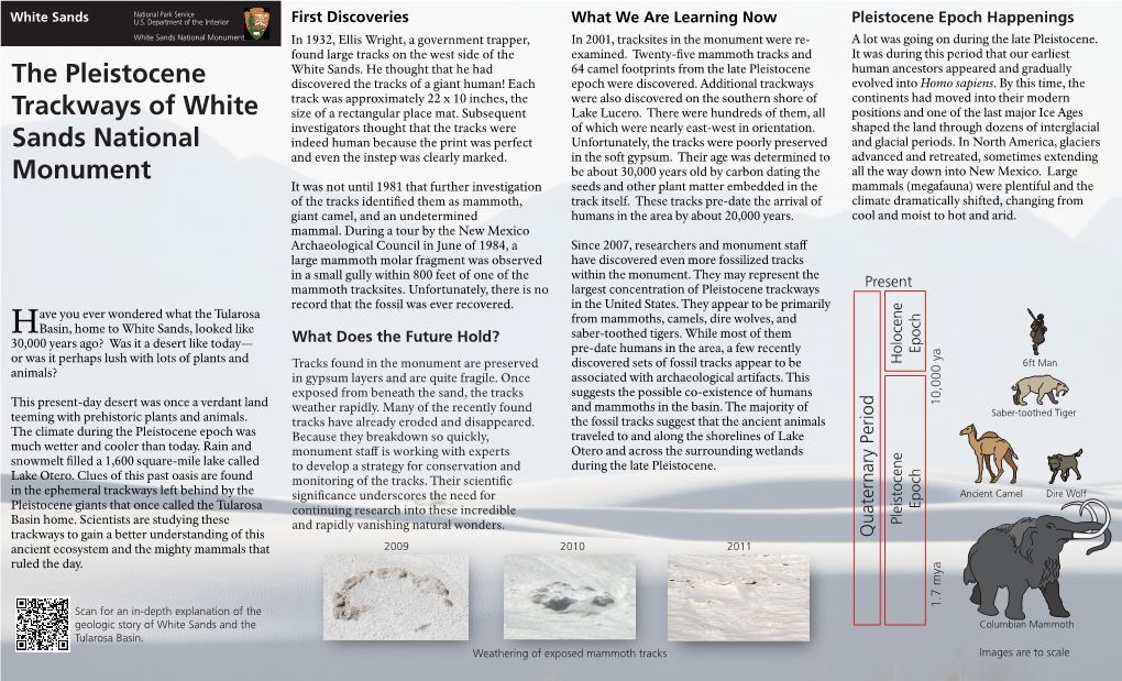 The Pleistocene Trackways of White Sands National Monument