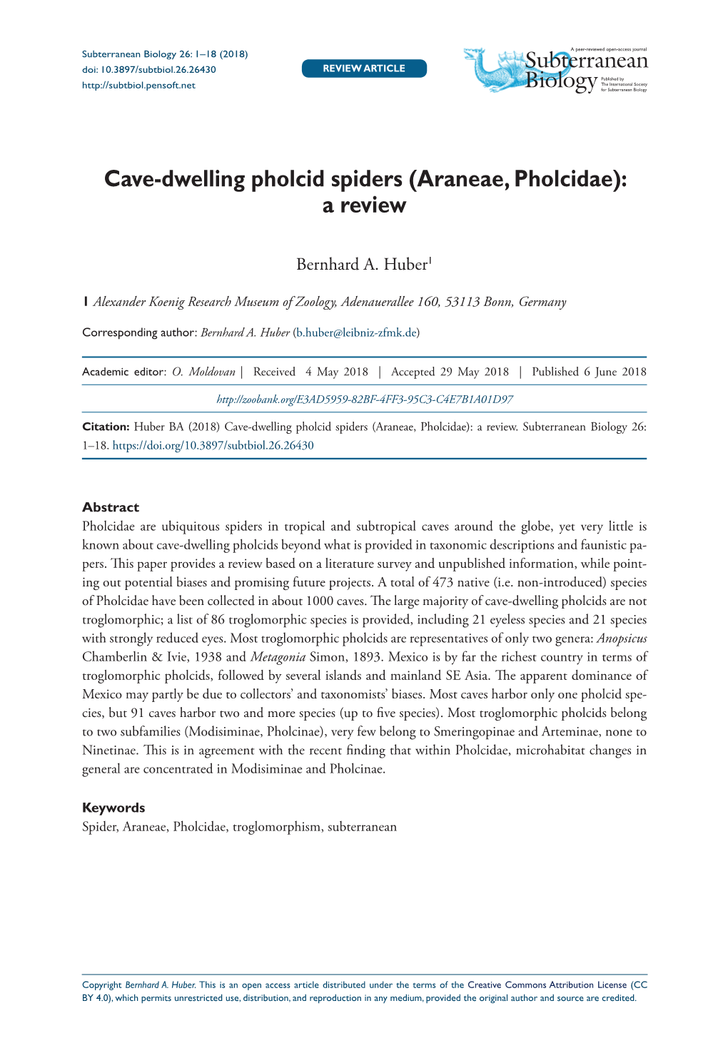 Cave-Dwelling Pholcid Spiders