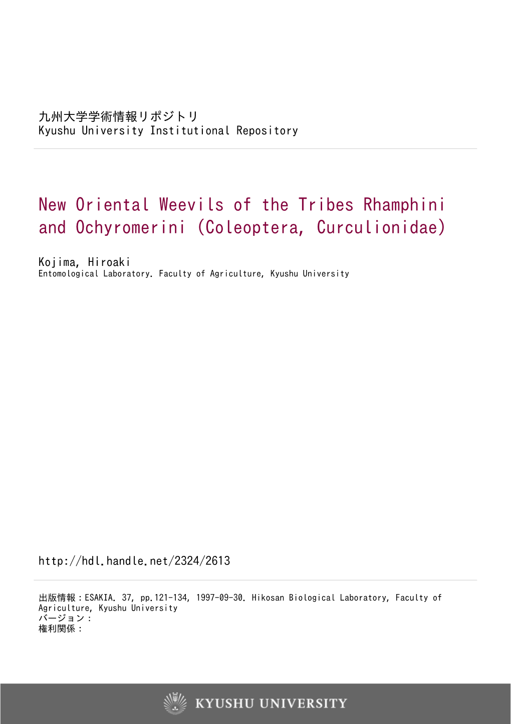 New Oriental Weevils of the Tribes Rhamphini and Ochyromerini (Coleoptera, Curculionidae)