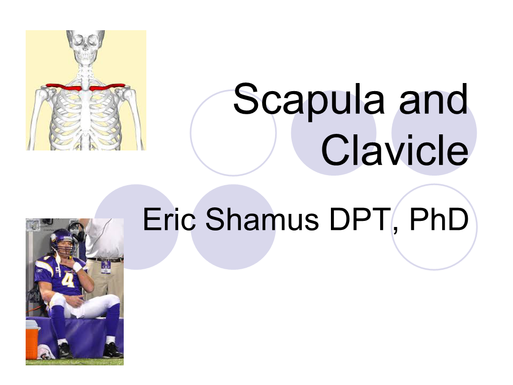 Scapula and Clavicle Eric Shamus DPT, Phd OBJECTIVES