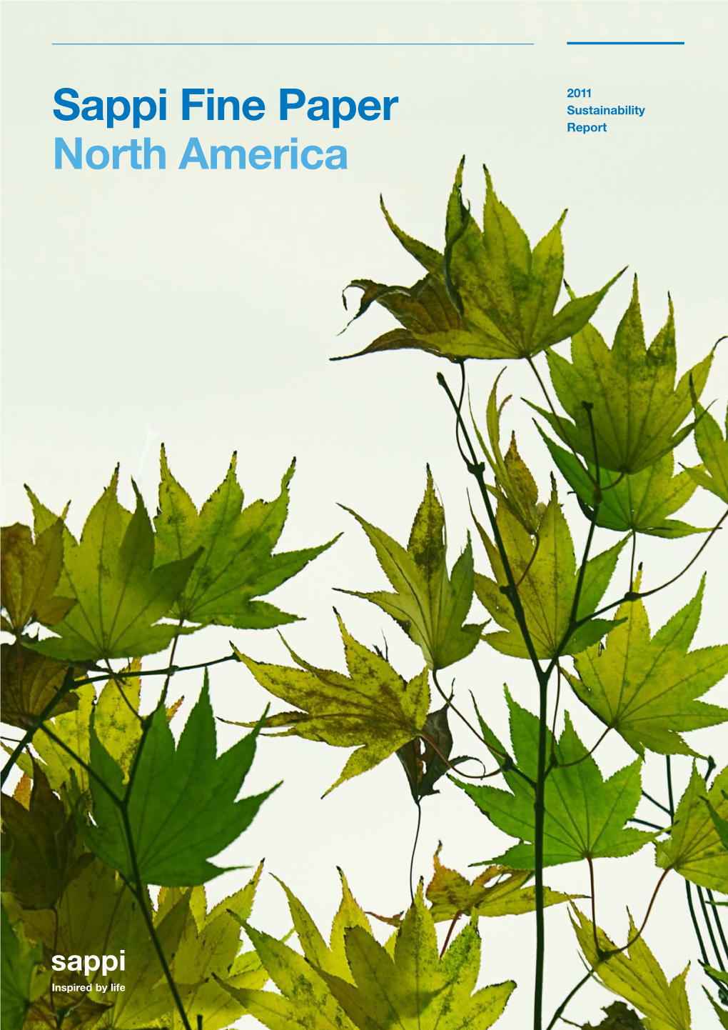 Sappi Fine Paper North America Overview 08 Corporate Governance 12 Five-Year Goals 17 Key Environmental Issues 25 Social Responsibility 35 Key Performance Indicators