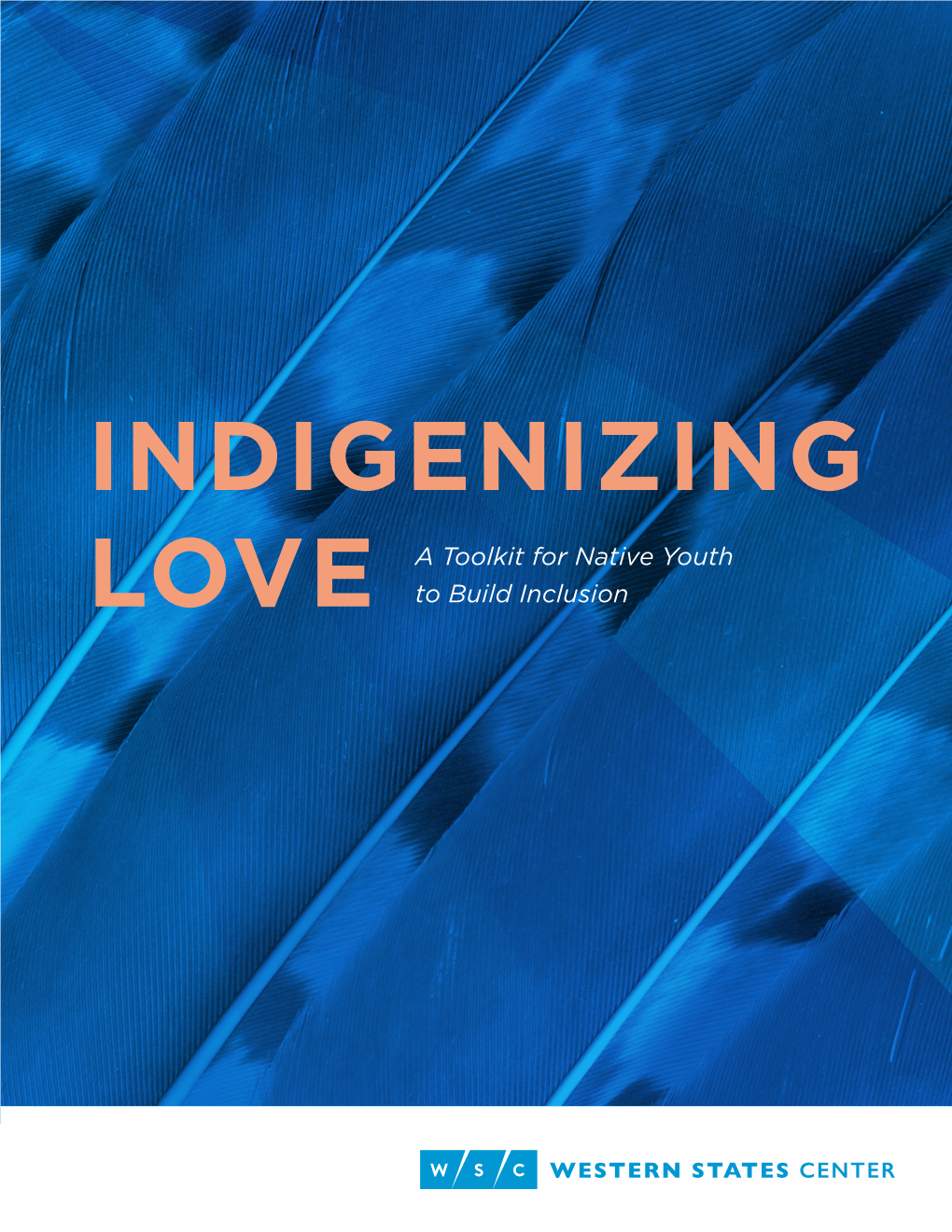 Indigenizing Love Toolkit for Native Youth (PDF)