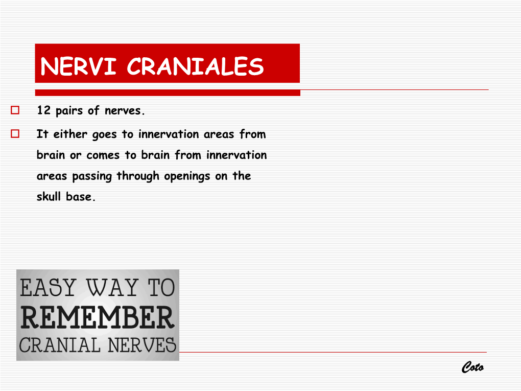 Nervi Craniales