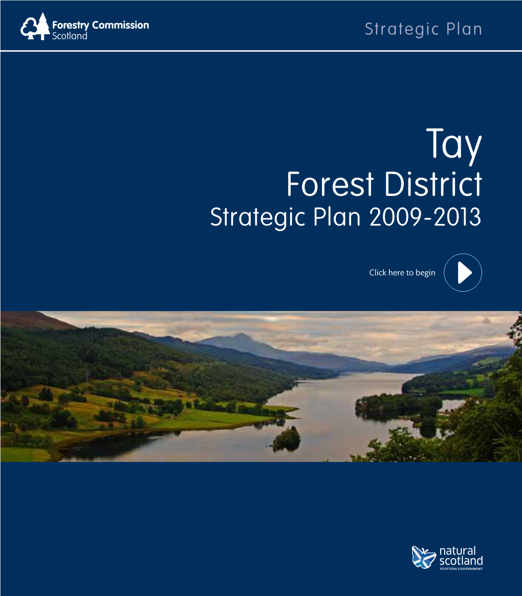 Forest District Strategic Plan 2009-2013