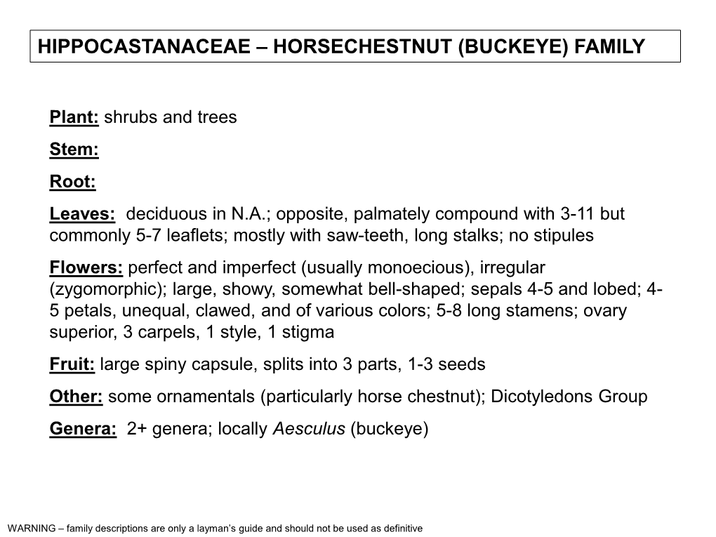 Hippocastanaceae – Horsechestnut (Buckeye) Family