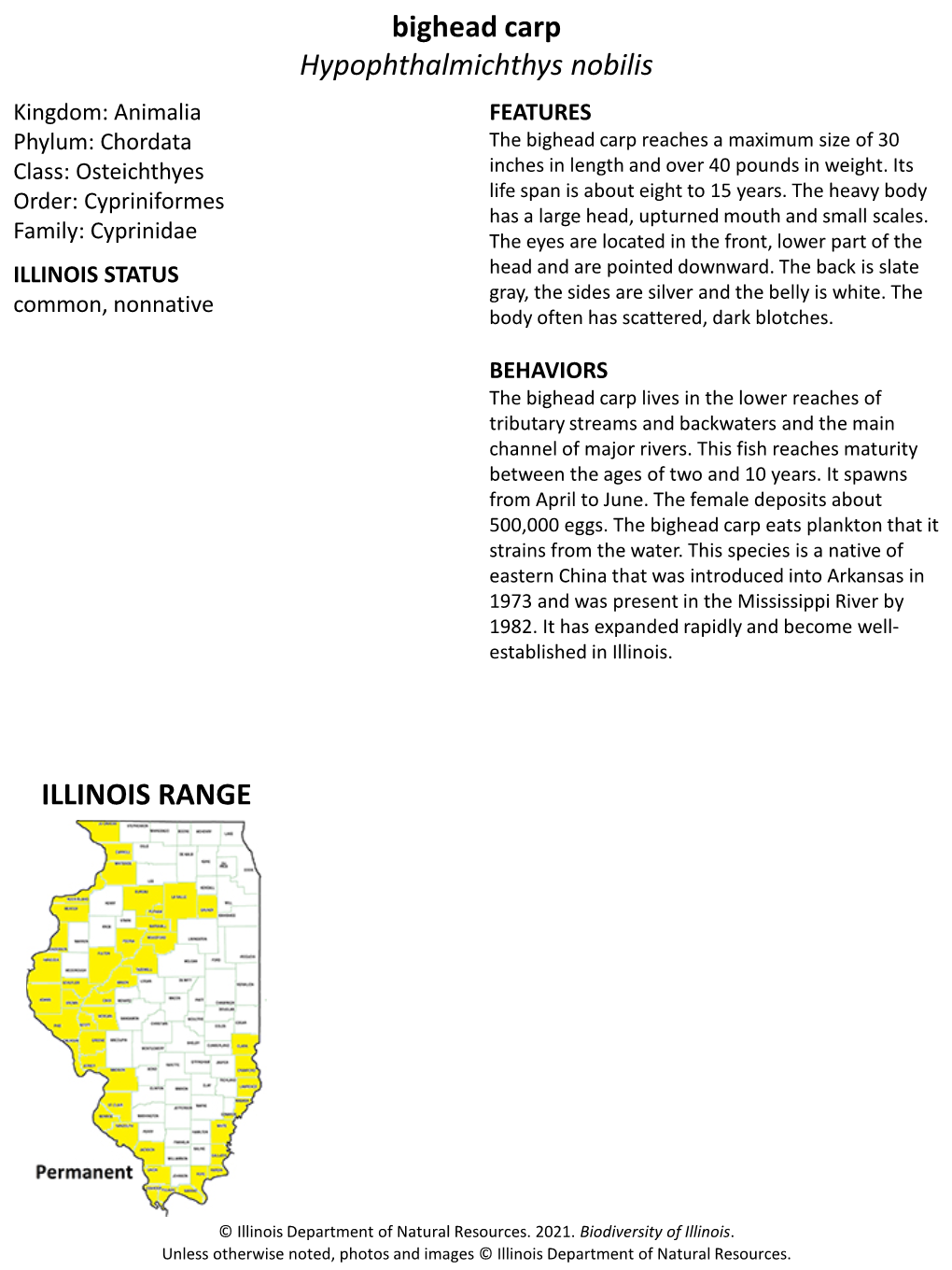 Bighead Carp Hypophthalmichthys Nobilis ILLINOIS RANGE