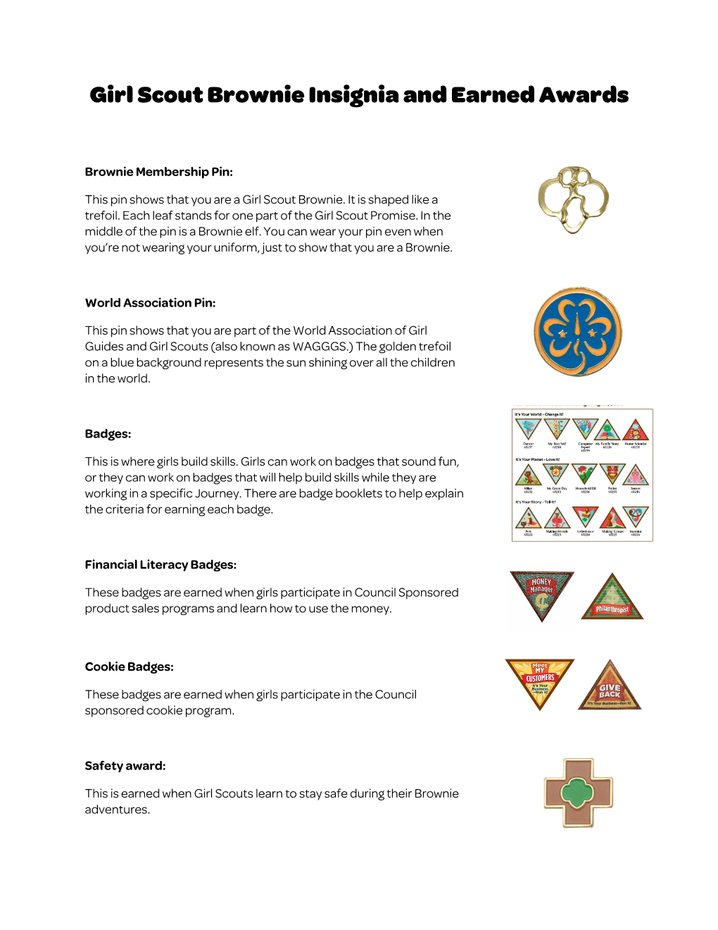 Girl Scout Brownie Insignia and Earned Awards