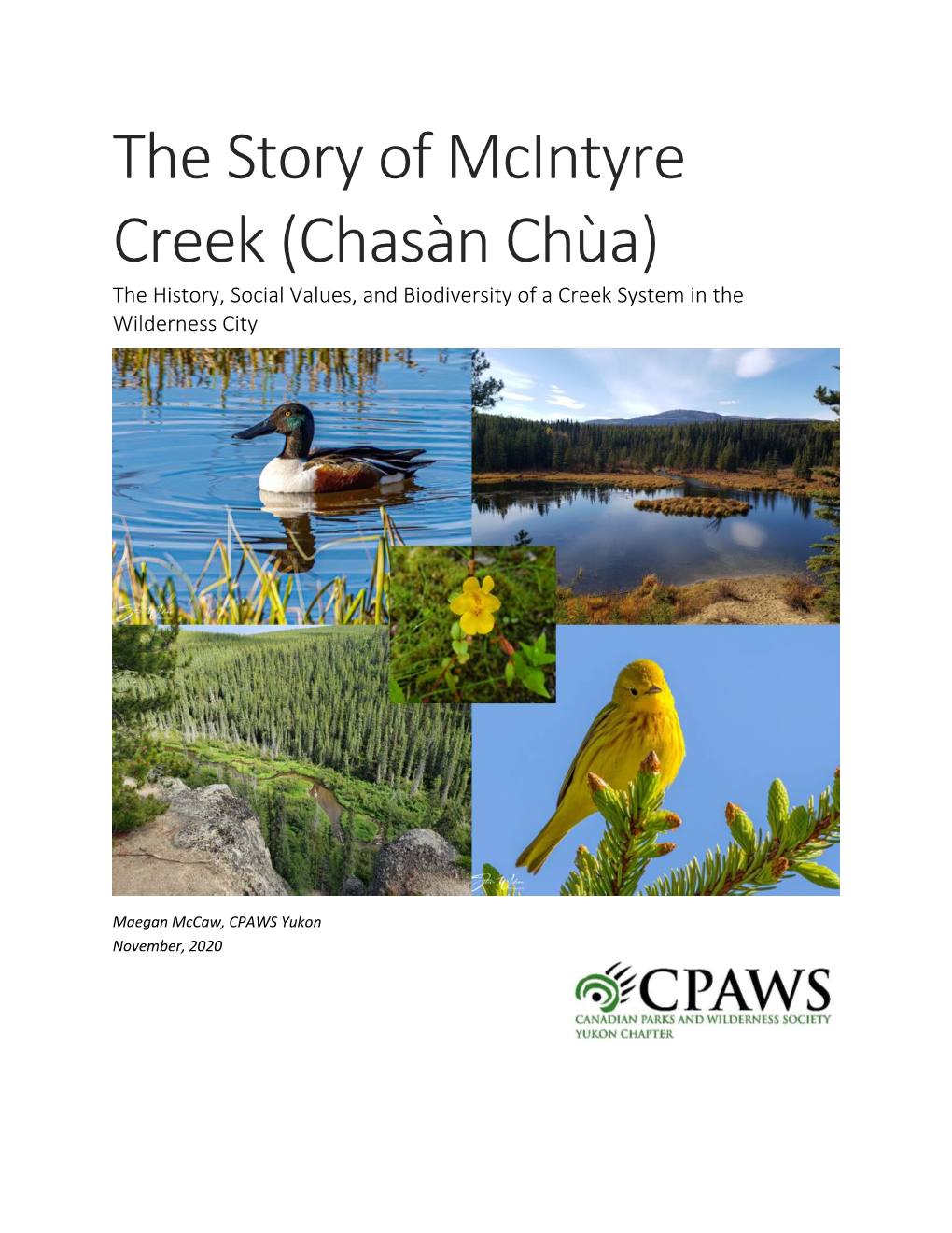 The Story of Mcintyre Creek (Chasàn Chùa) the History, Social Values, and Biodiversity of a Creek System in the Wilderness City