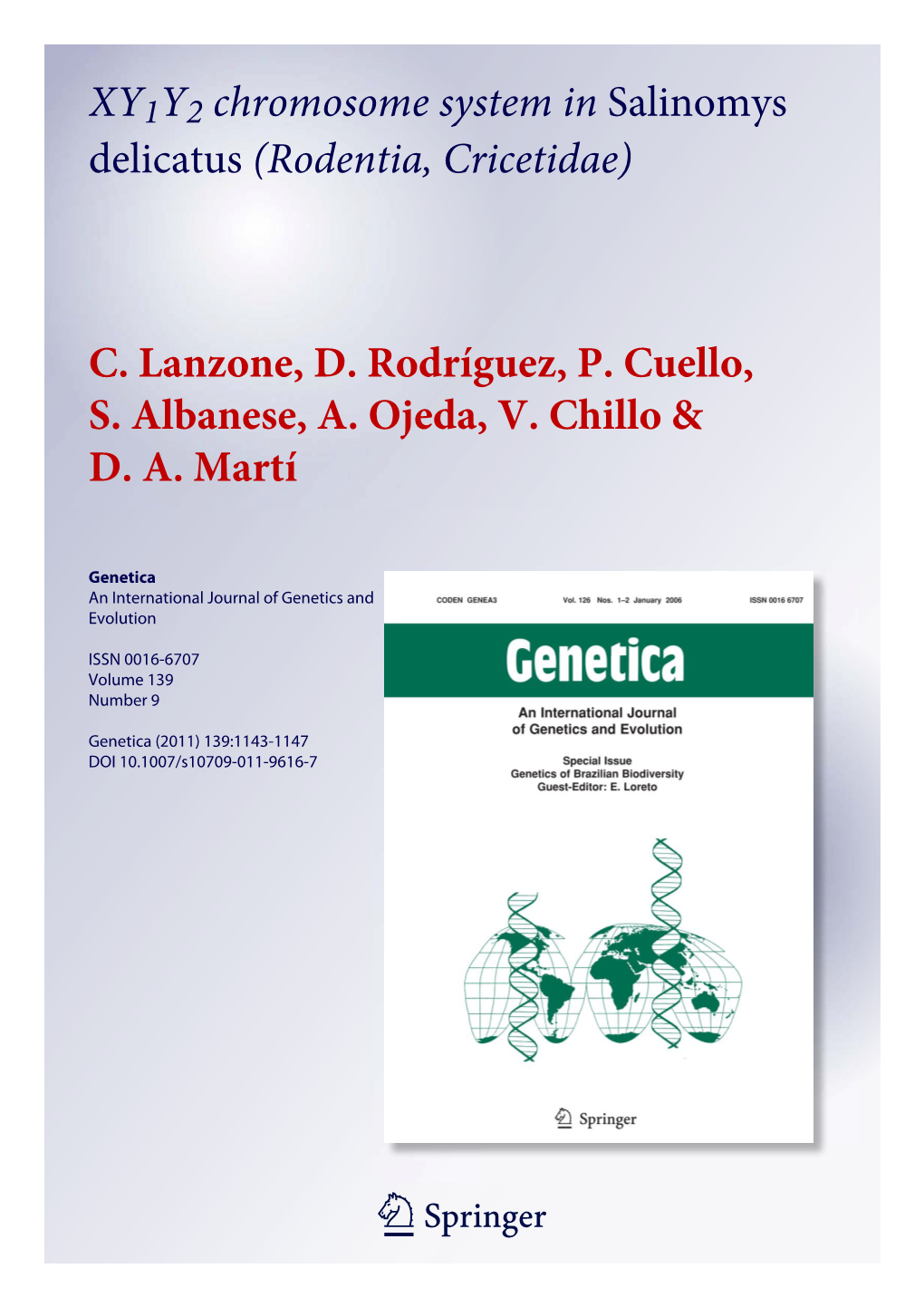 XY1Y2 Chromosome System in Salinomys Delicatus (Rodentia, Cricetidae)