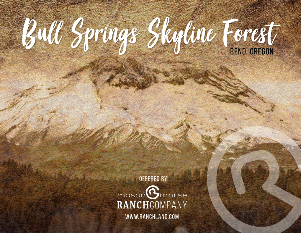 Bull Springs Skyline Forest Brochure