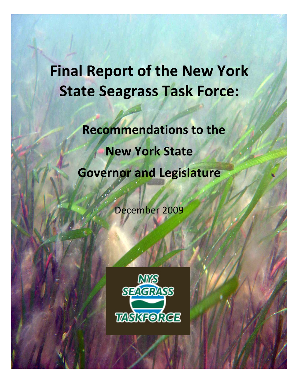 Report of the New York State Seagrass Task Force